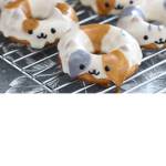 kocie pączki
