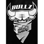 BuIIz Truck CIub LA