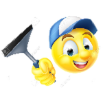 cleaning expert