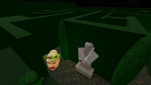 Escape Angry Head
