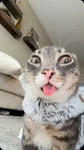 Evil Billy Community Group Thumbnail