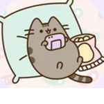 Pusheen fan club !