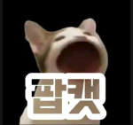 팝캣부대