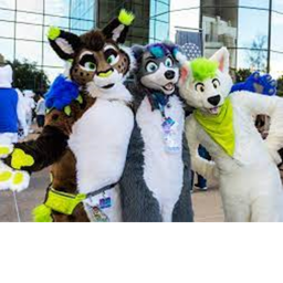 furry