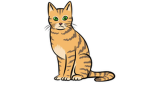 Cat club exclusive