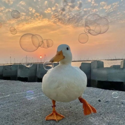 𝕒𝕣𝕖