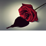 Roblox's Roses