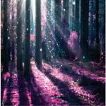 Forest of Inspiration
