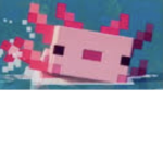 Axolotl blackgang
