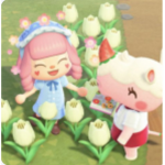 ~} Avatar Ranking {~