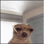 leeeeeeeeeeee