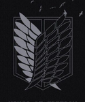 Scouts : AOT:R