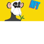 Suprises Of Monkey