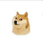 Doge Kingdom With King Doge