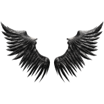Black Harbinger Wings