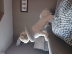 SUPERDOGGGG