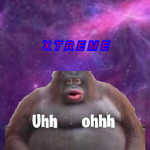 XTREMEBOIS