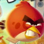 Attack of the birds