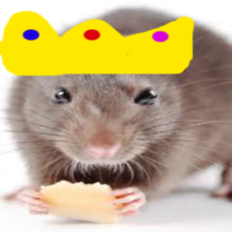 Rat worship