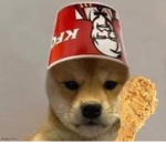 shiba army o