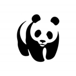 Pandakey