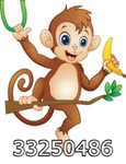 MONKE GANGG ON TOP
