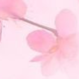❀