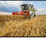 Offical Farmall Farmings