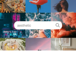 AESTHETIC LVRS