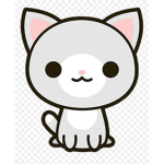 Cat estudio
