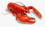 LarryTheLobster5168 group