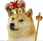 Doge Believers