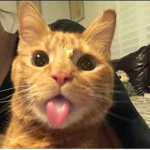 MIZZLÈ