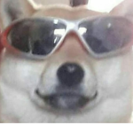 chocokrispi