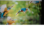 NATURE SQUAD BY JOHNNY XD