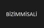 Bizimmisali
