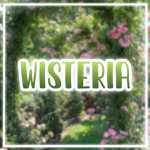 -*Wisteria*-