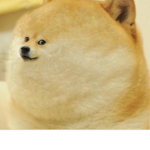 Doge :)