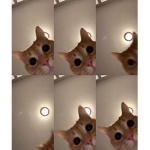 TROLLFACETROLLFACETROLLFACETROLLFACETROLLFACETROLL