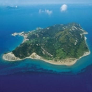 TinBuII's Private Island