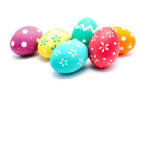 Coolest Egg Cult