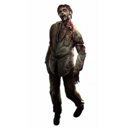 Zombie Infection