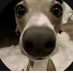 hi it’s your friend