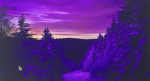 [TPP] The Purple Pirates