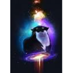 MAXWELL THE CAT GOD