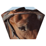 juan cube lol