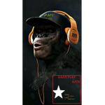 server palo