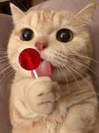 Join if u like katz