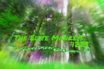 The Elite Monkeys 1223