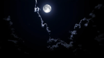 nighttimee_